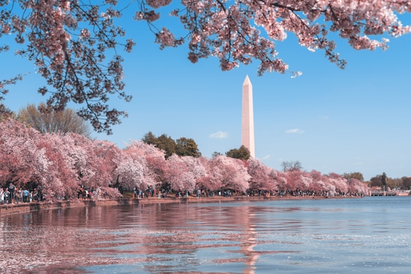 National Mall and Washington Monument