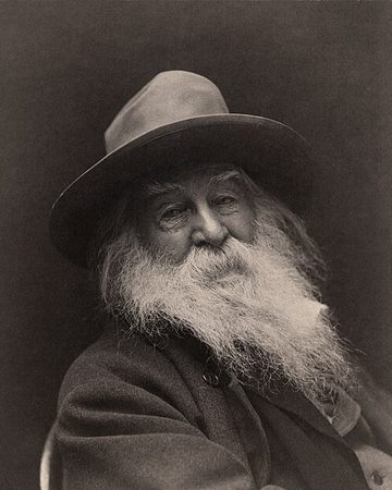 Portrait of Walt Whitman