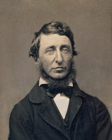 Portrait of Henry David Thoreau